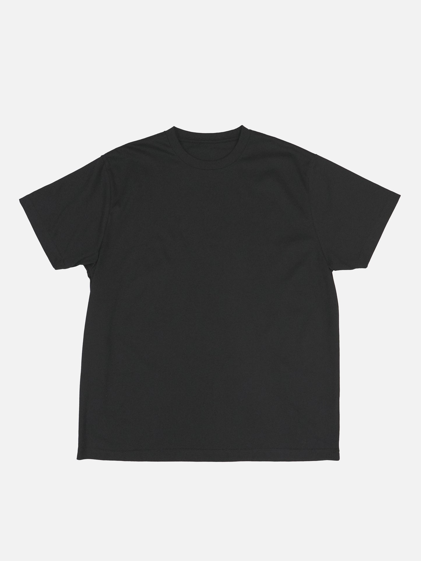 ふつうのTシャツ - BLACK